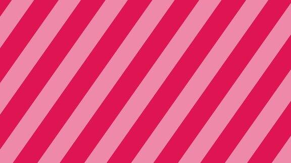 无缝循环抽象条纹动画4k决议粉色和白色线条滑动过渡运动设计