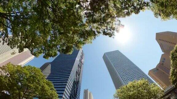 开车穿过城市仰望摩天大楼和绿树和阳光