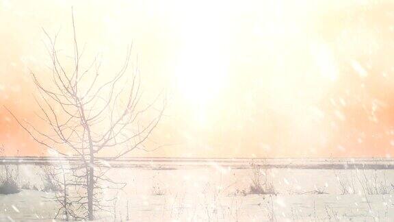 寒冷空旷的田野冬日日落