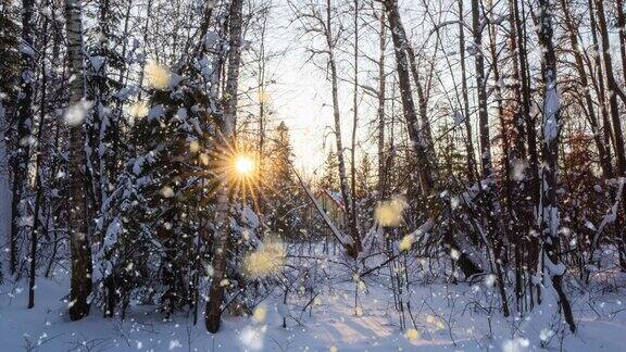 明亮的阳光明媚的景观与雪花飘落的雪和一个小房子在森林cinemagraph视频循环