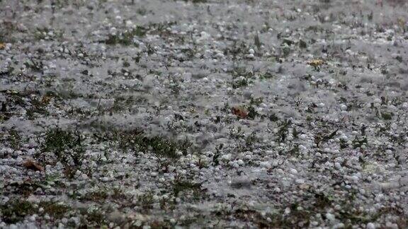 气候家里和花园里有雷雨和大雨