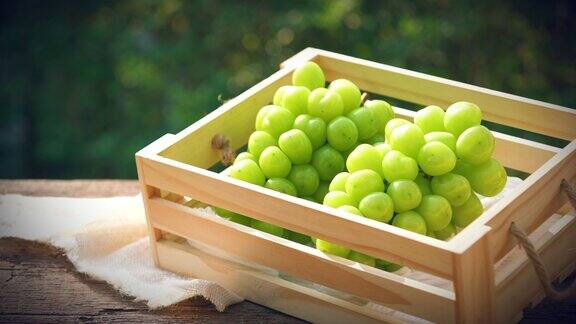 花园竹桌上木盘上的绿葡萄背景模糊的麝香葡萄叶子