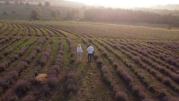 美丽幸福的情侣在紫色薰衣草田在花林间嬉戏夏天的自然爱
