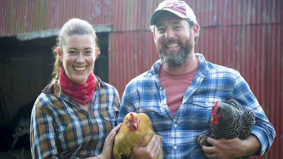 一对夫妇在农场里在红色的谷仓前养鸡