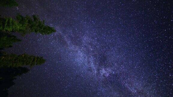 在森林树木上方旋转的银河星群流星雨(延时)