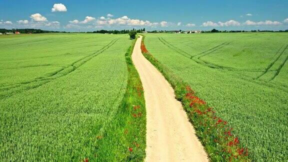 鸟瞰图的绿地和乡村道路在农村