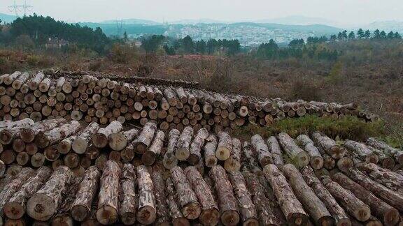 4K鸟瞰图森林采伐树木-砍伐树木-森林砍伐