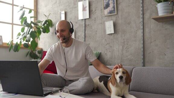 一个人在家里用笔记本电脑工作他的宠物狗在他旁边的沙发上