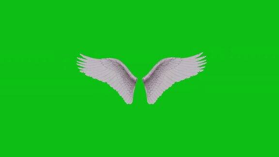 毛茸茸的白色3D动画天使翅膀拍打在绿色屏幕背景