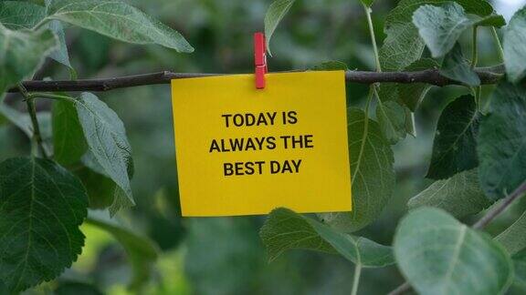 一张写着“今天永远是最好的一天”的纸条用衣夹夹在树上