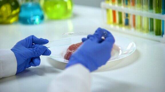 科学家进行肉类质量测试玻璃上滴着液体非洲猪瘟爆发