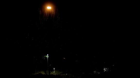 雷雨夜街灯