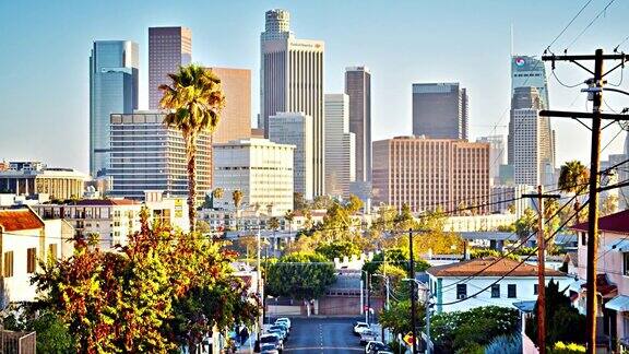 从洛杉矶金融区到住宅区棕榈树