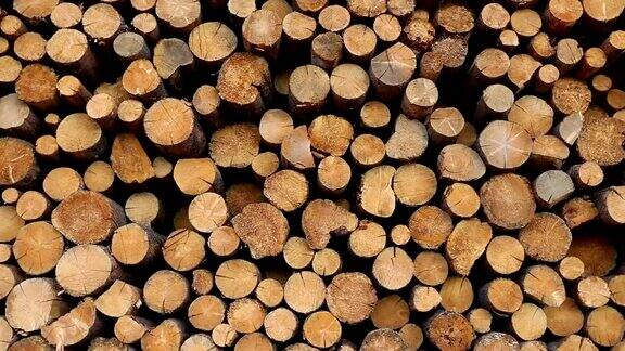 森林砍伐木材行业