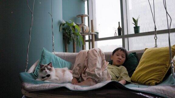 小男孩和他的猫正在沙发上睡觉