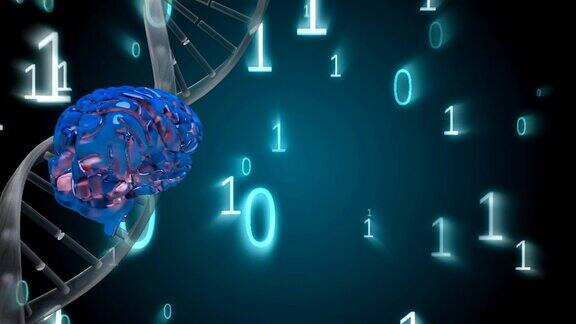 旋转的DNA和被二进制代码包围的大脑