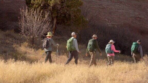 身体健康的老年徒步旅行者在秋天的水果附近享受科罗拉多西部沙漠