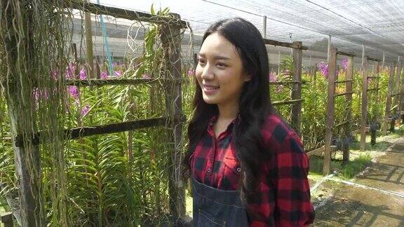 亚洲年轻女子农民收获和工作在兰花农场女注在片剂中切在花篮中生长兰花花卉种植园的主人视察了农场准备向市场出售