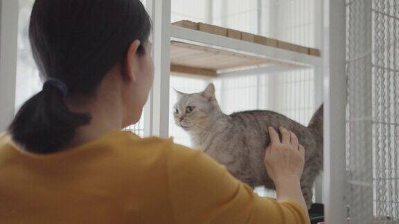 亚洲妇女打开一个笼子抚摸和抱着一只可爱的猫在宠物收容所
