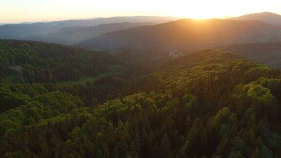 美丽的鸟瞰图的森林在山上日落