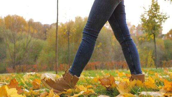 特写的女人腿在一个公园与黄色的落叶走靴子
