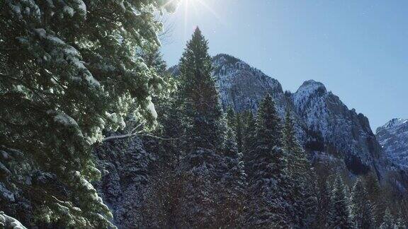 在一个明亮的冬日里在一个晴朗的蓝天下科罗拉多外的圣胡安山脉(落基山脉)的森林和雪山的山峰