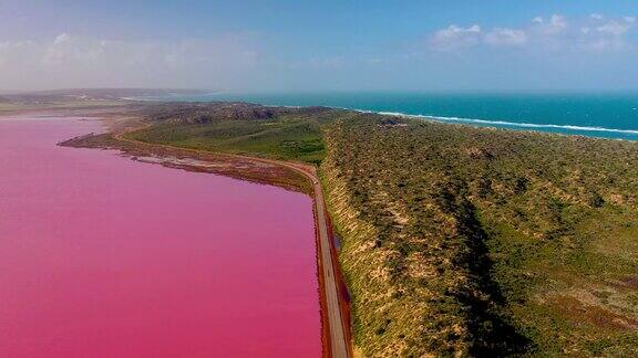 航拍视频粉红湖和蓝色海洋赫特泻湖格雷戈里港西澳大利亚