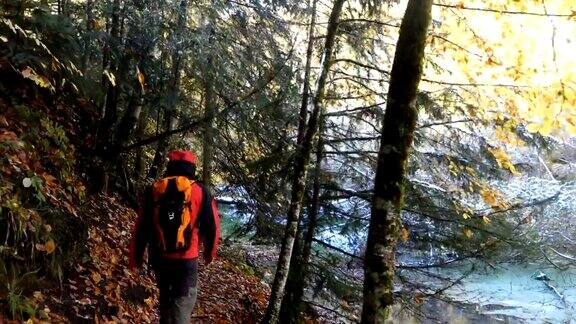 秋天人们在森林里散步