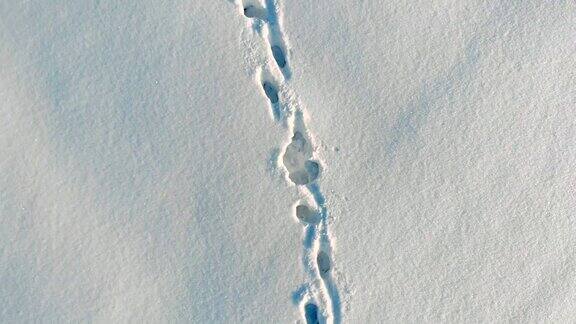 女孩在雪地里行走留下脚印顶部鸟瞰图冬季户外活动背景
