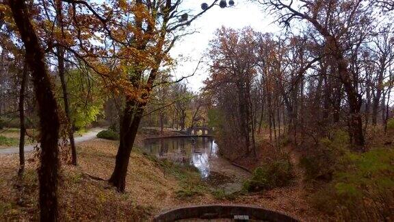 秋天无人机在公园的树枝、湖泊、建筑和小路上飞行