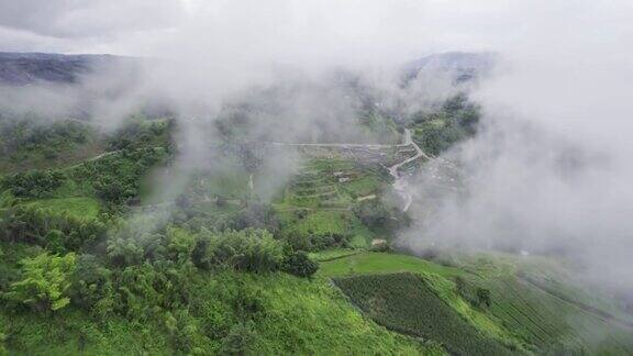 国家公园雨天热带雨林雾山鸟瞰图