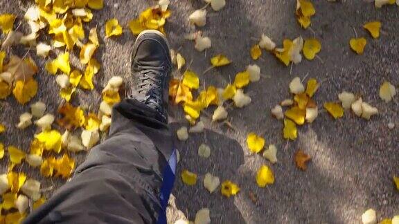 在爱沙尼亚一个人走在散落的落叶上