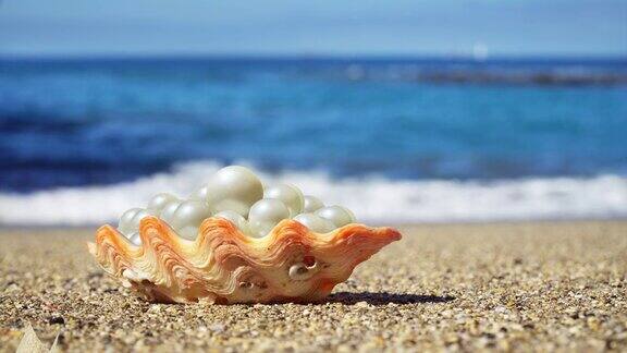 贝壳和珍珠在海滩上后面是模糊的小波浪