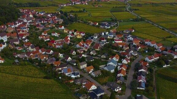 秋天德国的葡萄园和房屋鸟瞰图