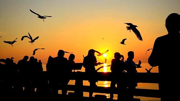 剪影:日落时的旅行者和海鸥群
