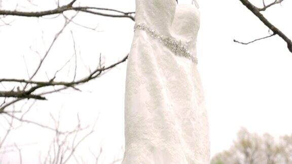 婚纱从树上倾斜着挂起来
