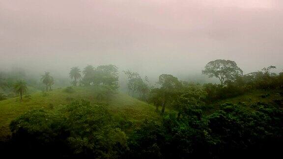 山上覆盖着热带雨林和蒸汽