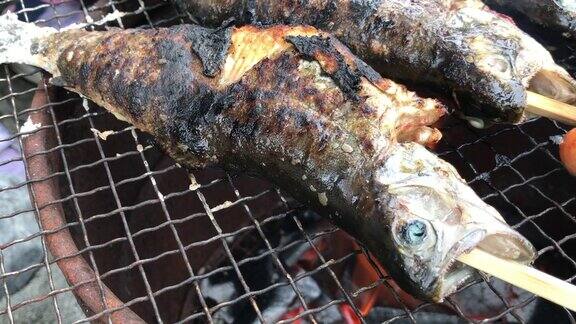 在烧烤时享用鱼和肉