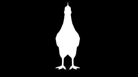 黑色背景上等待的鸡的剪影动物野生动物游戏回到学校3d动画短视频电影卡通有机色度键角色动画设计元素循环