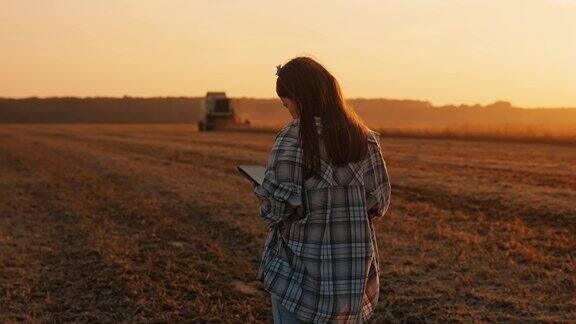 日落时分年轻的女农学家在联合收割机附近使用数字平板电脑