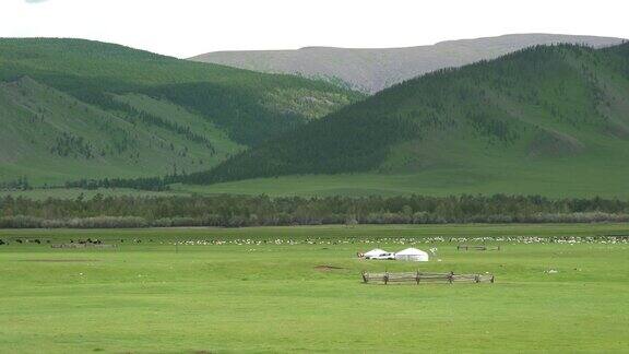 蒙古包帐篷在蒙古平原地理