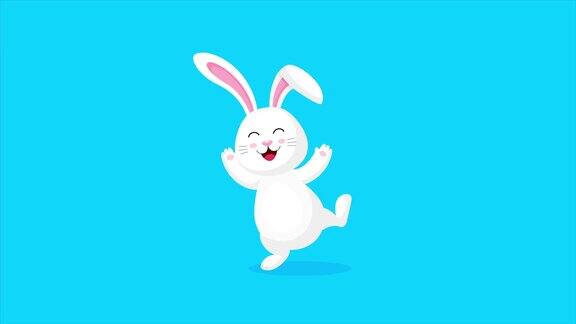 白兔又跳又跳