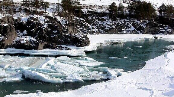 春天俄罗斯阿尔泰的卡顿河碧绿的河水上漂浮着冰块
