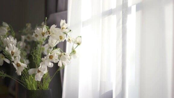 早晨阳光透过窗帘从卧室的窗户射进来