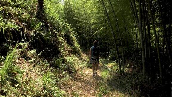 一个年轻女孩在热带植物园散步巴统格鲁吉亚