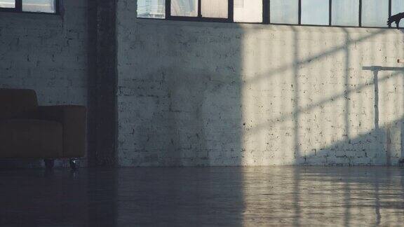 芭蕾舞女演员的影子在砖墙上旋转