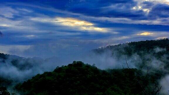 热带雨林的晨雾