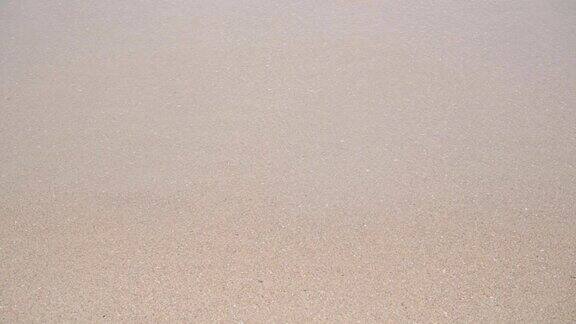 沙滩上的湿沙上泛着白色的浪花慢动作视频