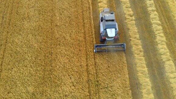 联合收割机收割小麦收割地里的季节性工作