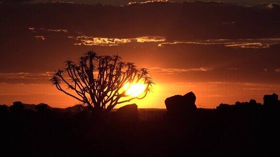 非洲沙漠中的日落
